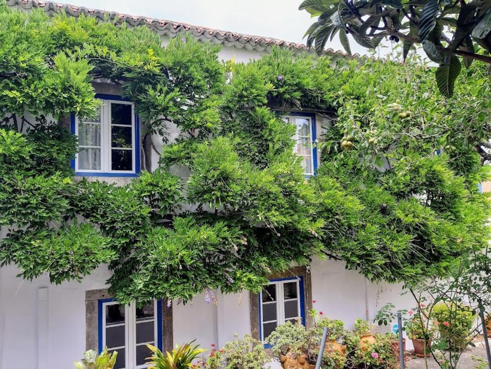Vila Casa Do Sobral 奥比多斯 外观 照片