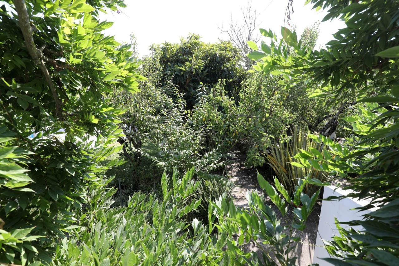 Vila Casa Do Sobral 奥比多斯 外观 照片